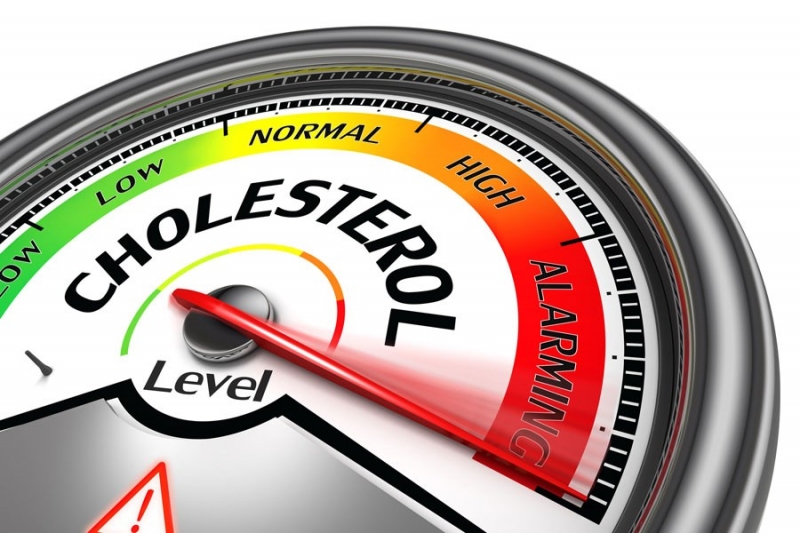 Những thông tin thú vị về Cholesterol