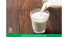 Uống canxi cùng sữa có thật sự tốt?