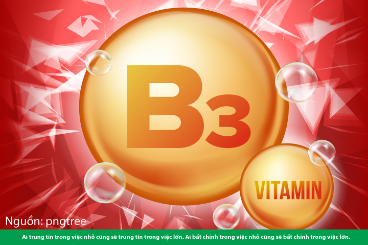Bổ sung vitamin PP có lợi ích gì cho cơ thể?
